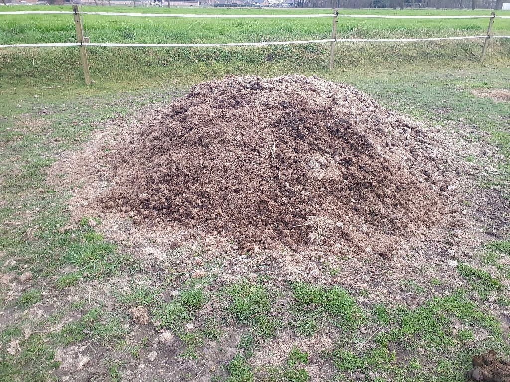 Gratis paardenmest, Ophalen, Mest