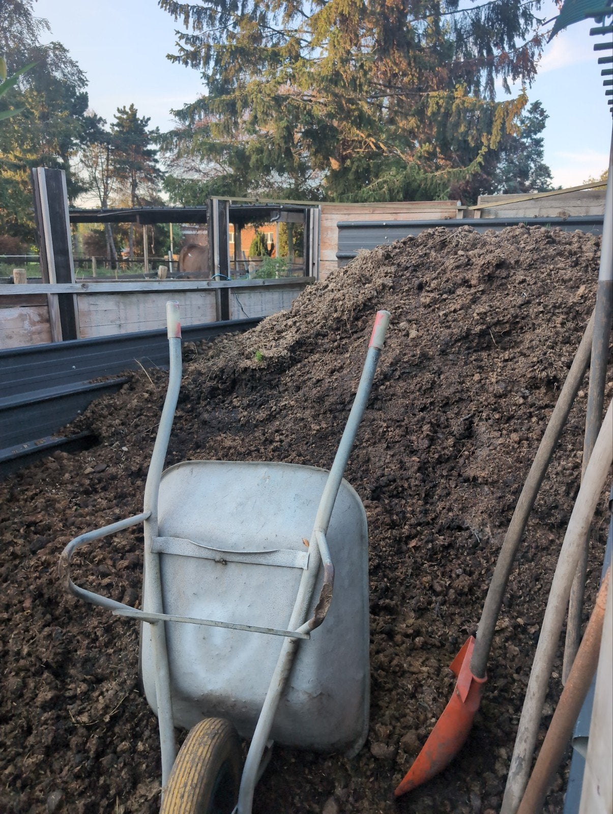 gratis paardenmest, Ophalen