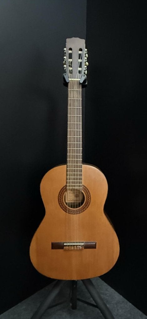 Zeldzame Klassieke Gitaar Model P080 Roderich Paesold 1960, Enlèvement, Utilisé, Guitare classique ou espagnole, Avec valise