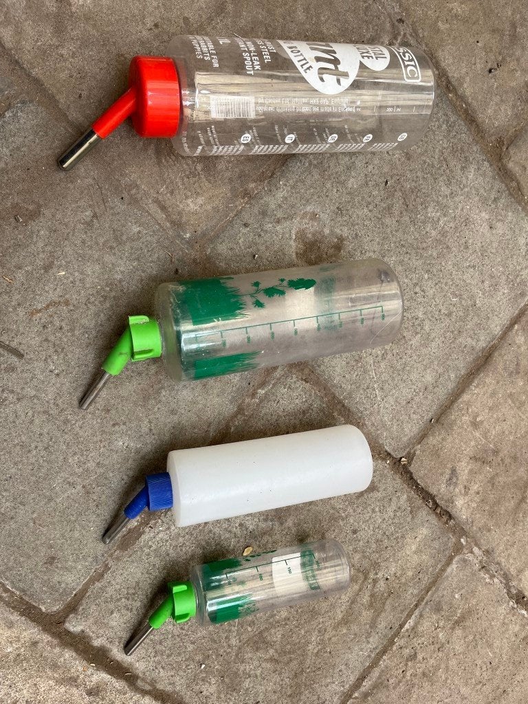 Drinkflessen knaagdieren, Ophalen of Verzenden