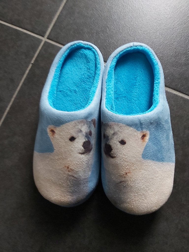 Winterpantoffels, Vêtements | Femmes, Neuf, Enlèvement, Pantoufles, Bleu