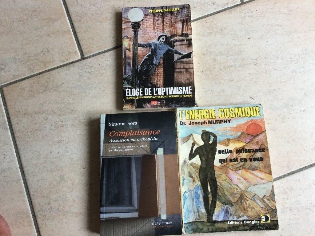 LOT DE LIVRES A THEMES, Enlèvement ou Envoi, MURPHY/GABILLIET/SORA