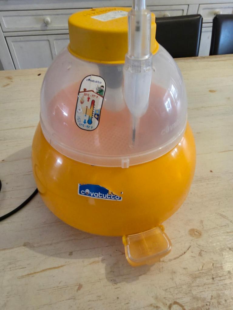 Broedmachine, Dieren en Toebehoren, Pluimvee | Toebehoren, Ophalen of Verzenden, Broedmachine