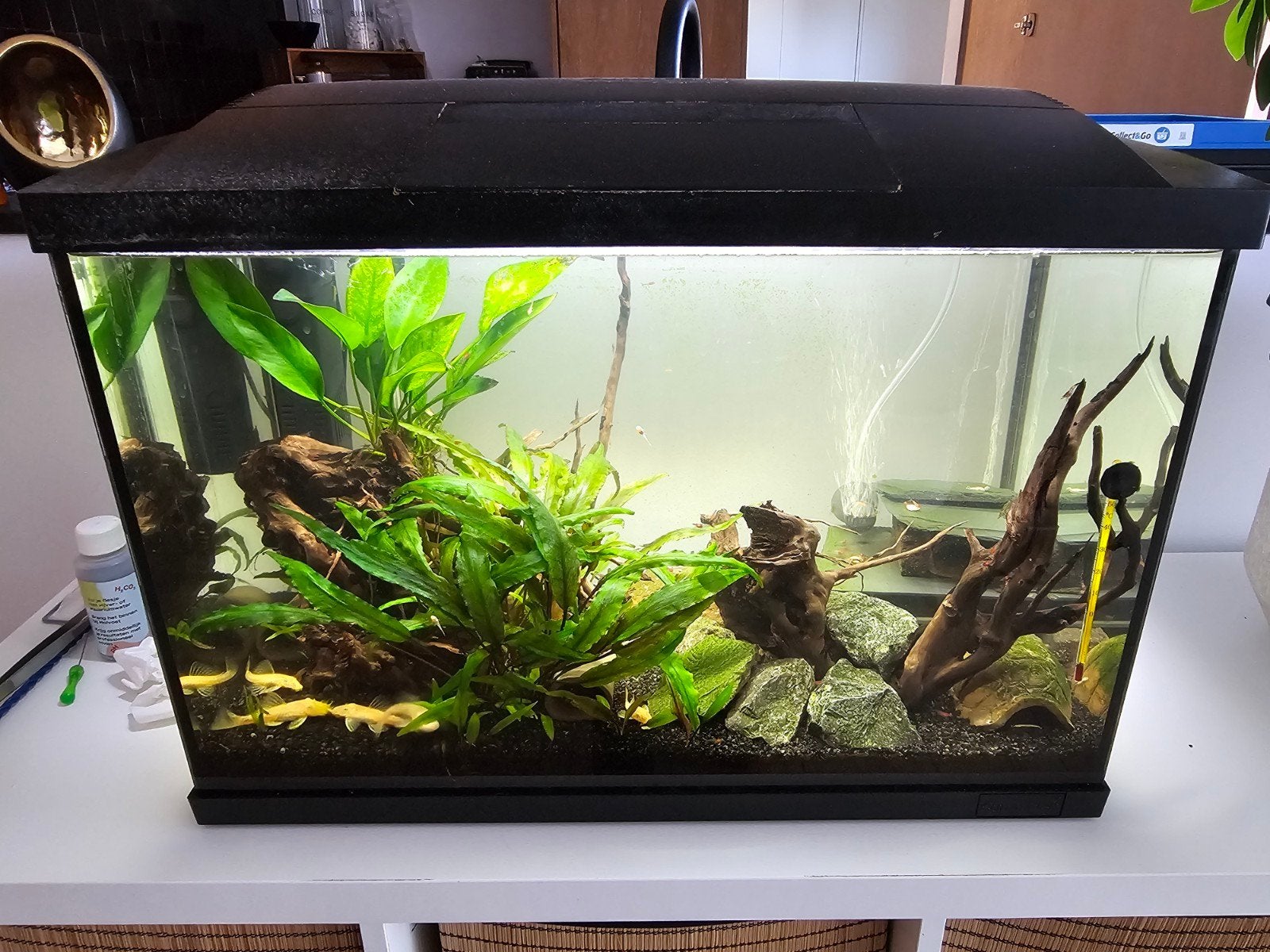 60 liter aquarium superfish !, Dieren en Toebehoren, Vissen | Aquaria en Toebehoren, Decoratie, Superfish, Ophalen