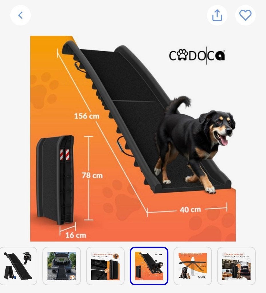 hondenloopplank, Dieren en Toebehoren, Ophalen, Hondenloopplank