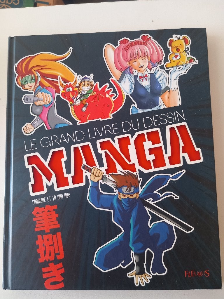 Le grand livre du dessin manga cartoon tekenen strip bd, Ophalen of Verzenden, Zo goed als nieuw