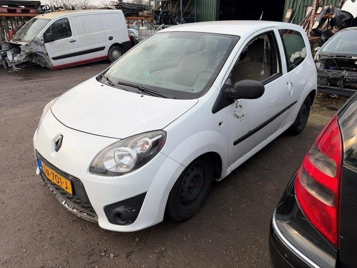Motorkap van een Renault Twingo (OV369), Auto-onderdelen, Gebruikt, -, Renault, -