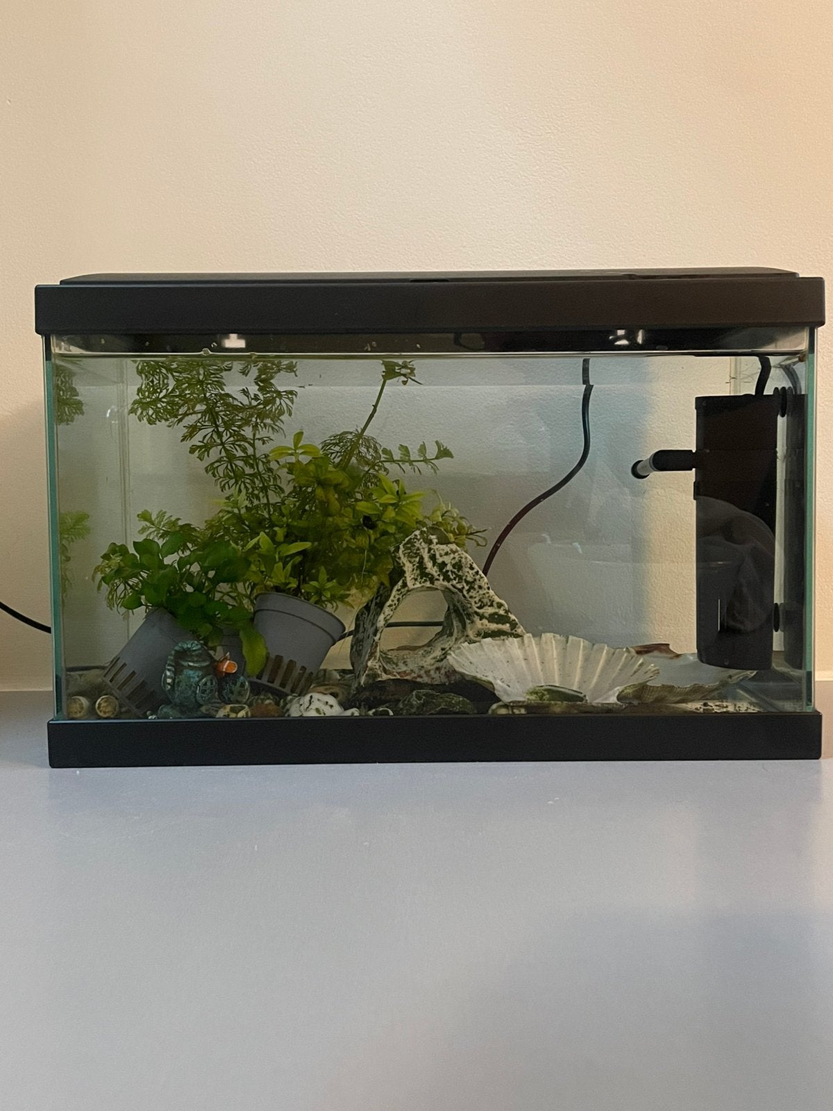 Gratis Aquarium, Aquarium d'eau douce rempli, Comme neuf, Enlèvement, Autres marques