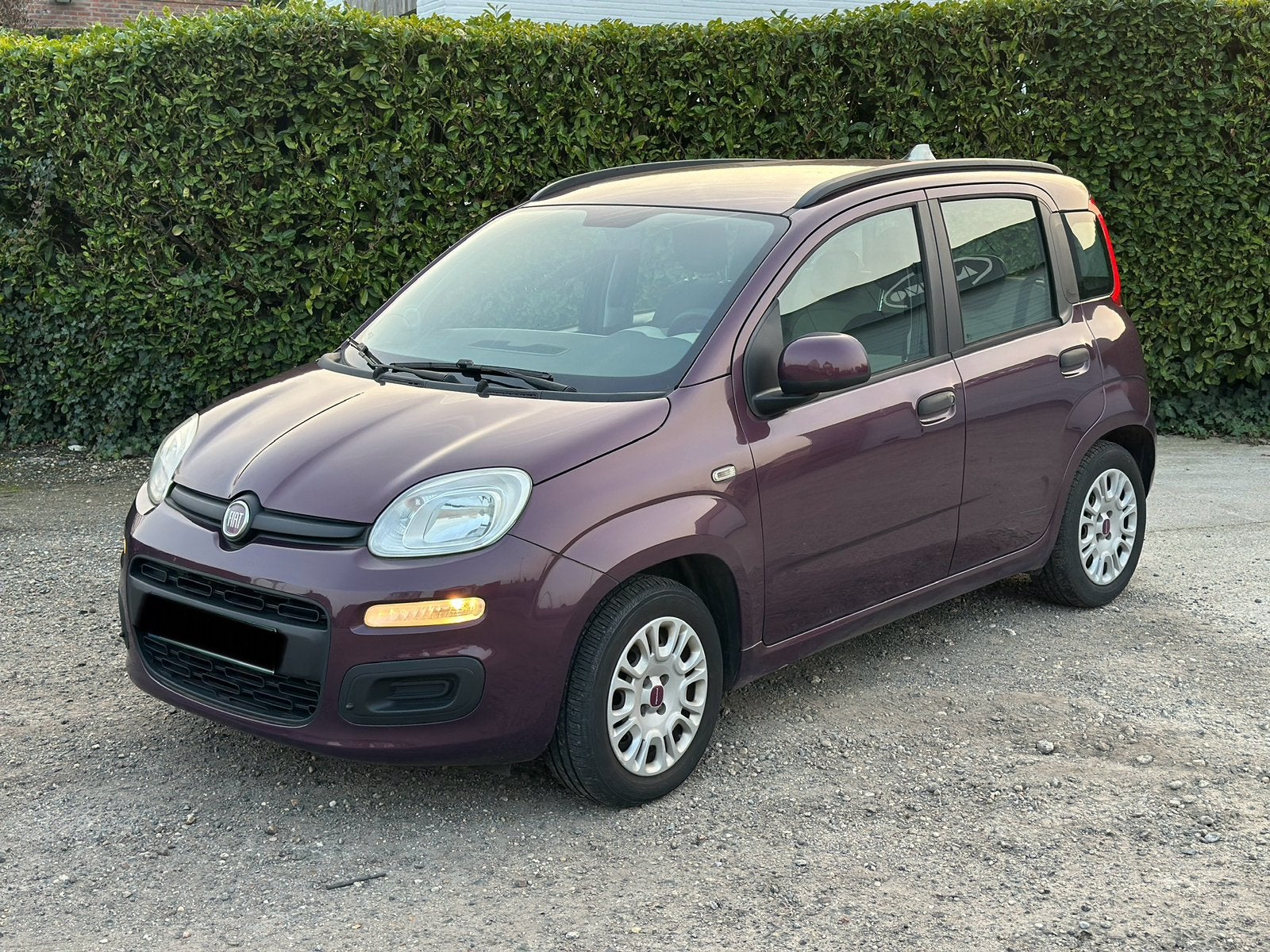 Fiat Panda Benzine, Auto's, Fiat, Euro 5, Panda, Bedrijf, Te koop