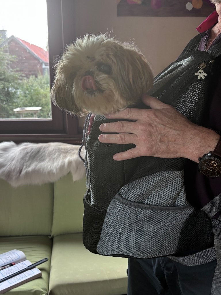 Sac pour chien comme neuf, Enlèvement ou Envoi, Neuf, Sac de transport