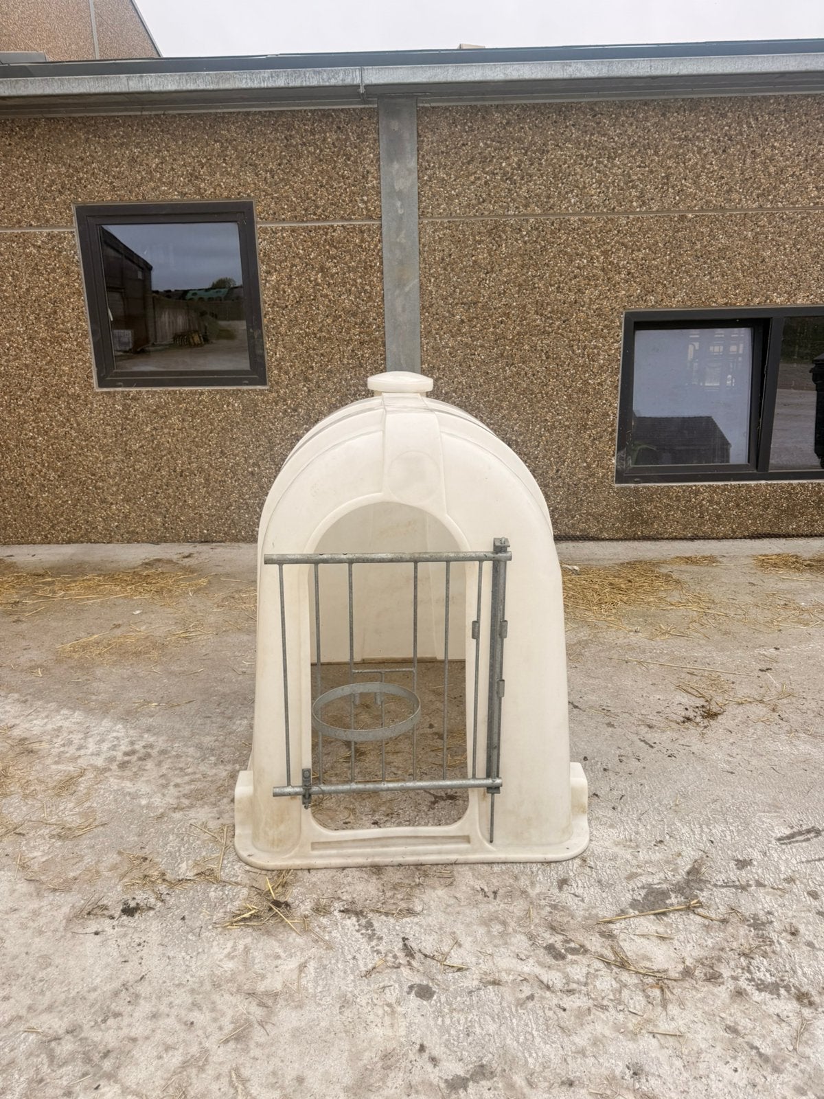 Niche à veaux d’occasion, Élevage