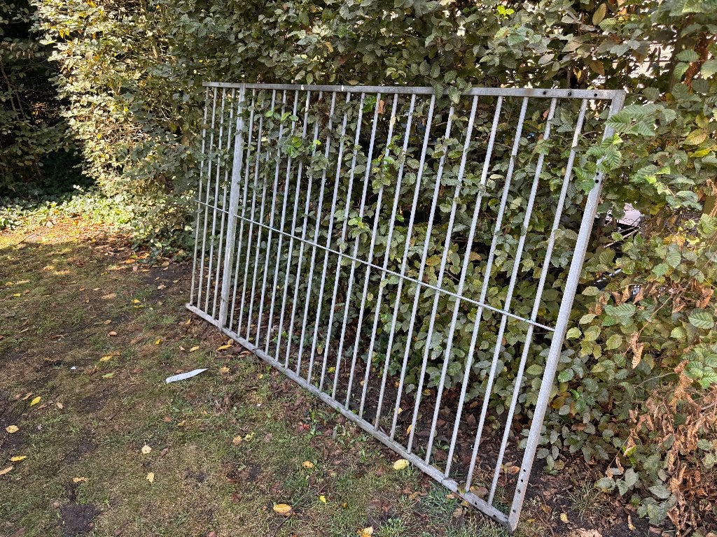 hondenren, Ophalen, 100 cm of meer, Hondenhok, 110 cm of meer