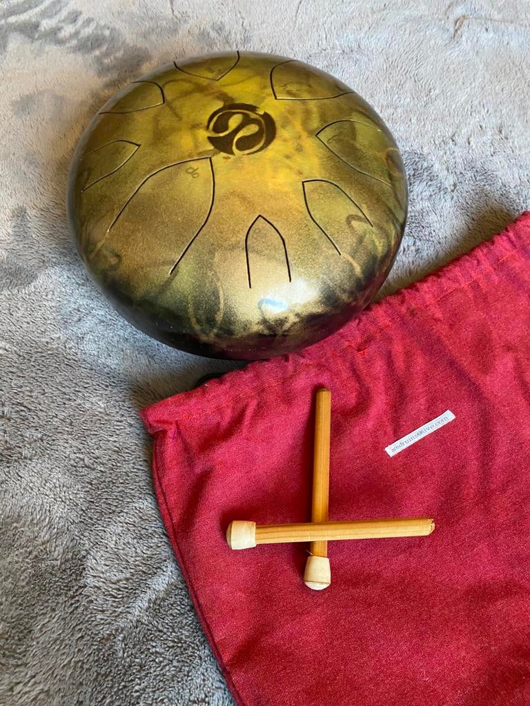 A.M drum gong Bass, Musique & Instruments, Percussions, Enlèvement, Comme neuf