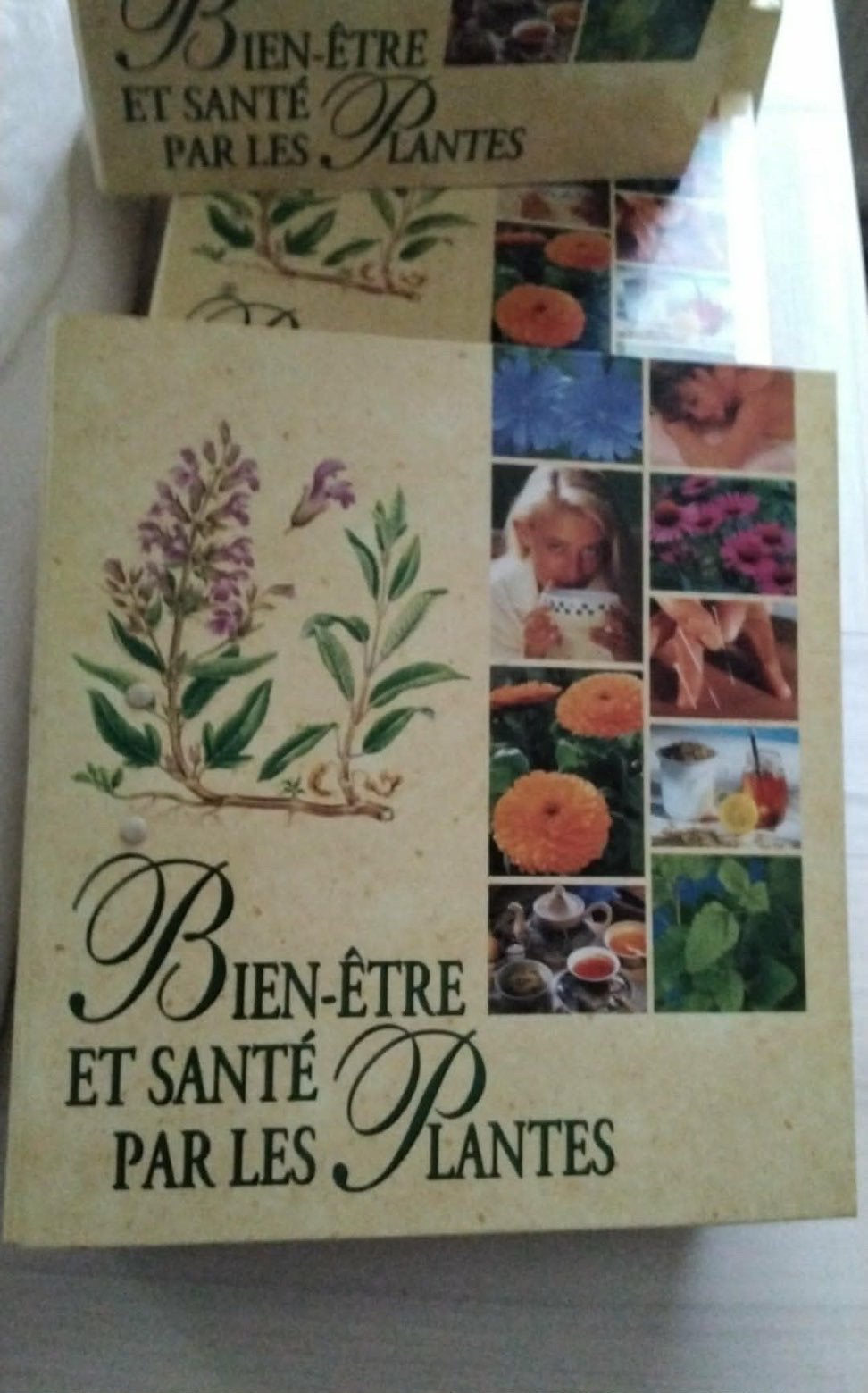 5 classeurs / encyclopédies  complets des années 90, Livres, Enlèvement, Comme neuf, Fleurs et Plantes