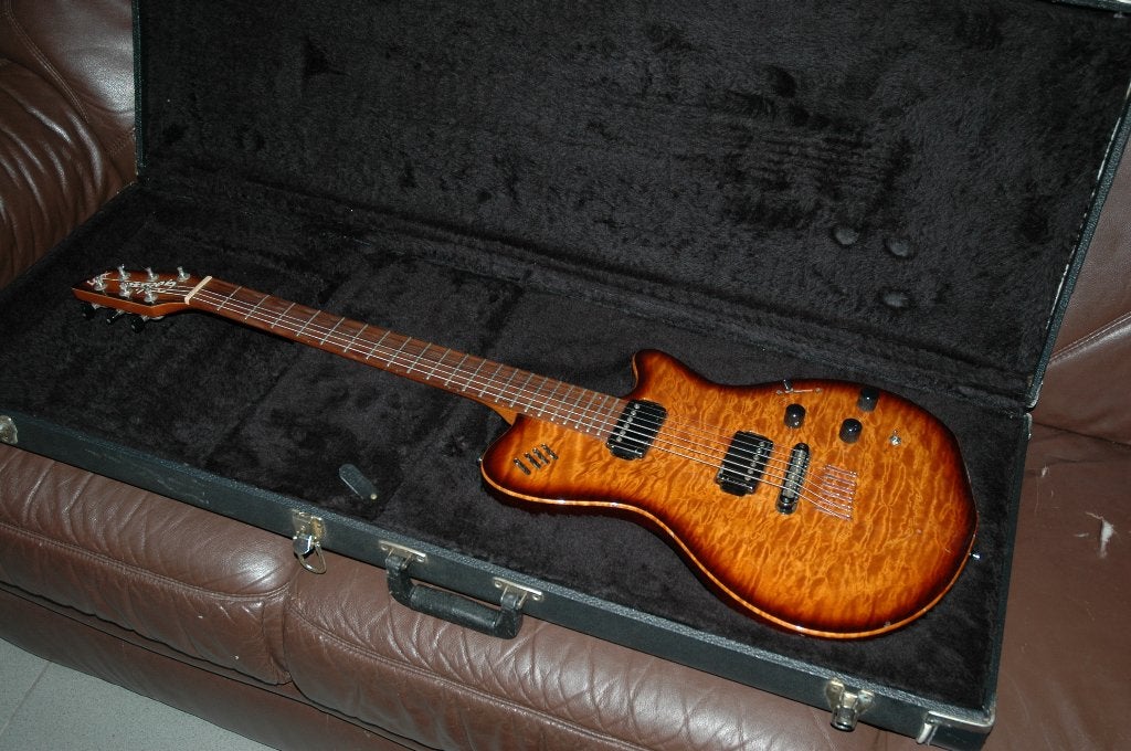 Godin LGX, Ophalen, Gebruikt, Solid body, Overige merken