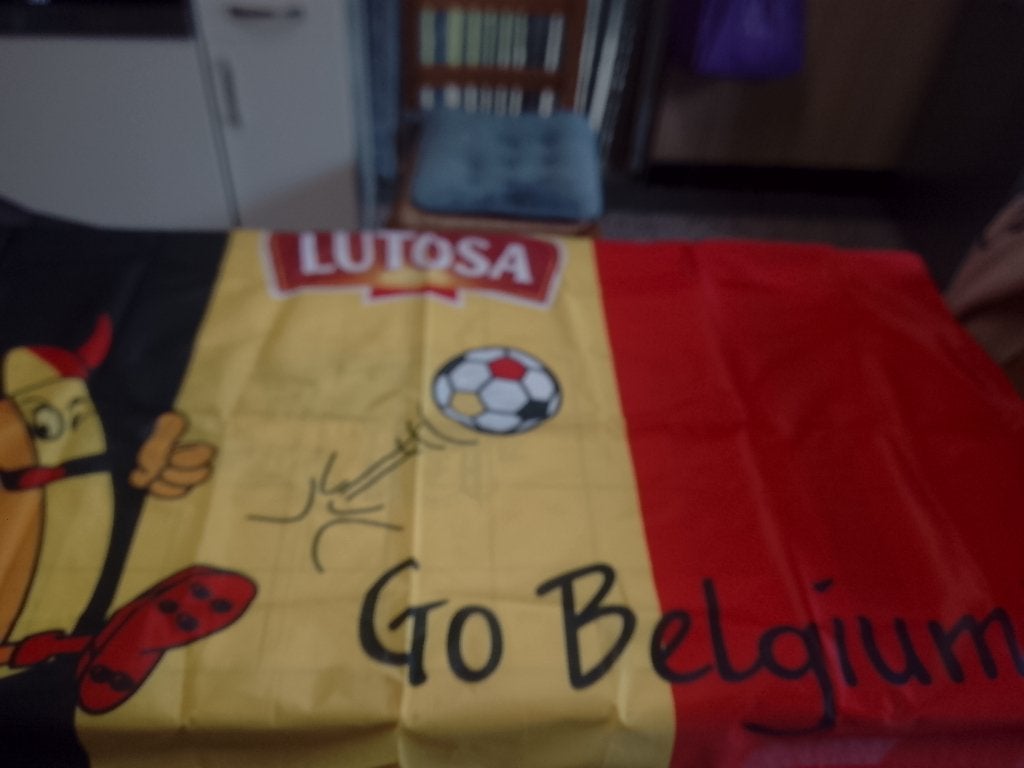Plusieurs Grand drapeau belge, Divers, Drapeaux & Banderoles, Neuf, Enlèvement