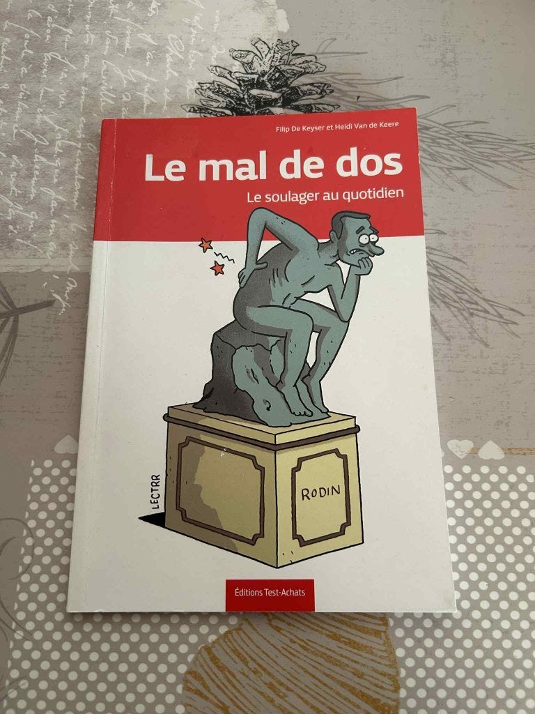 Le mal de dos : Le soulager au quotidien, Livres, Filip De Keyser & Heidi Van De Keere, Utilisé, Enlèvement, Santé et Condition physique
