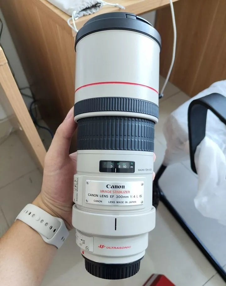 Canon 300 mm f/4L IS USM, TV, Hi-fi & Vidéo, Lentille standard, Fonction macro, Utilisé, Canon EF