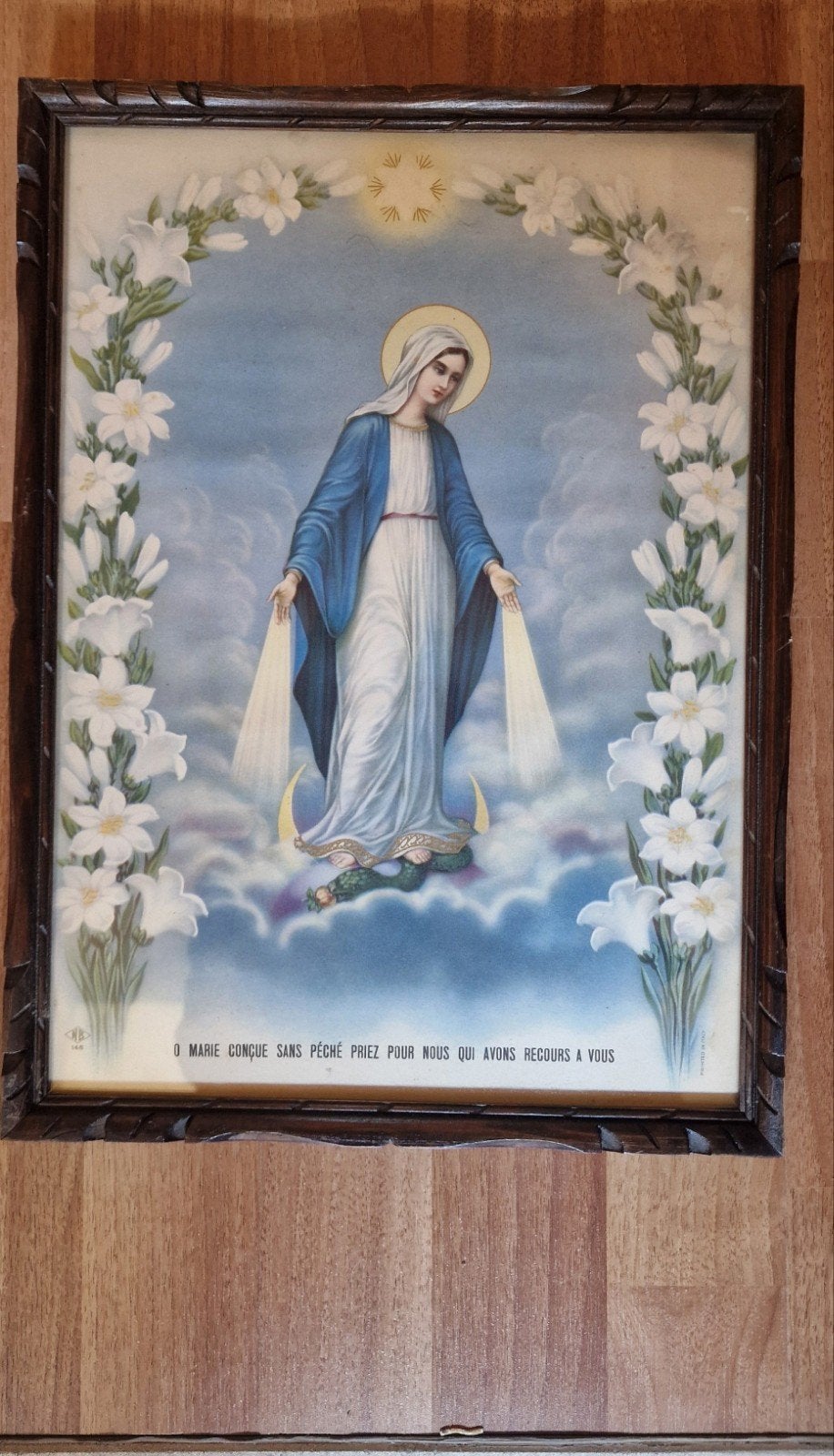 Heilige Maria Lourdes schilderij Madonna Maria, Ophalen