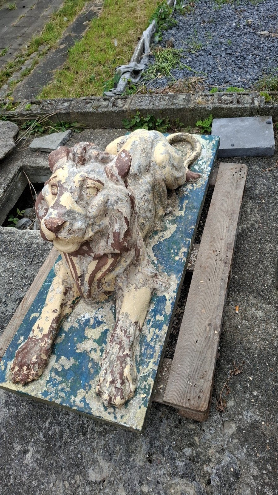 Lion, Enlèvement