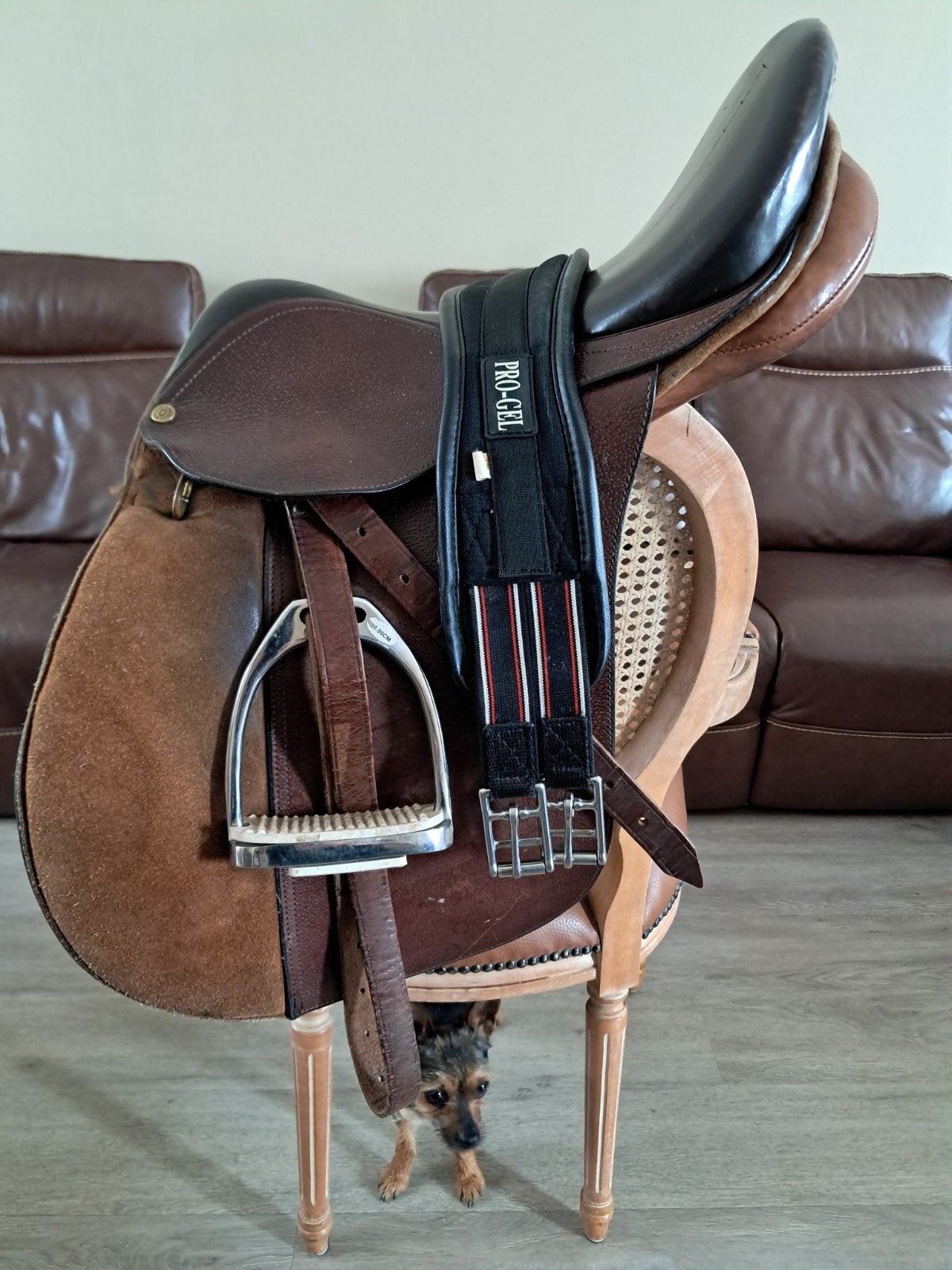 Selle mixte 15" complète,  queutiére et tapis de selle, Enlèvement