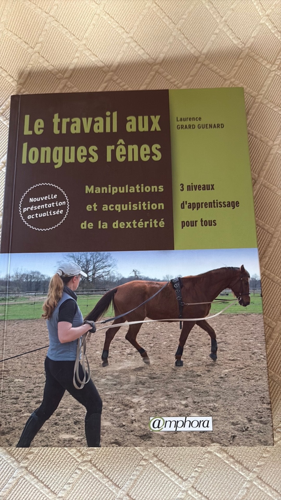Le travail aux longues rênes, Enlèvement, Comme neuf