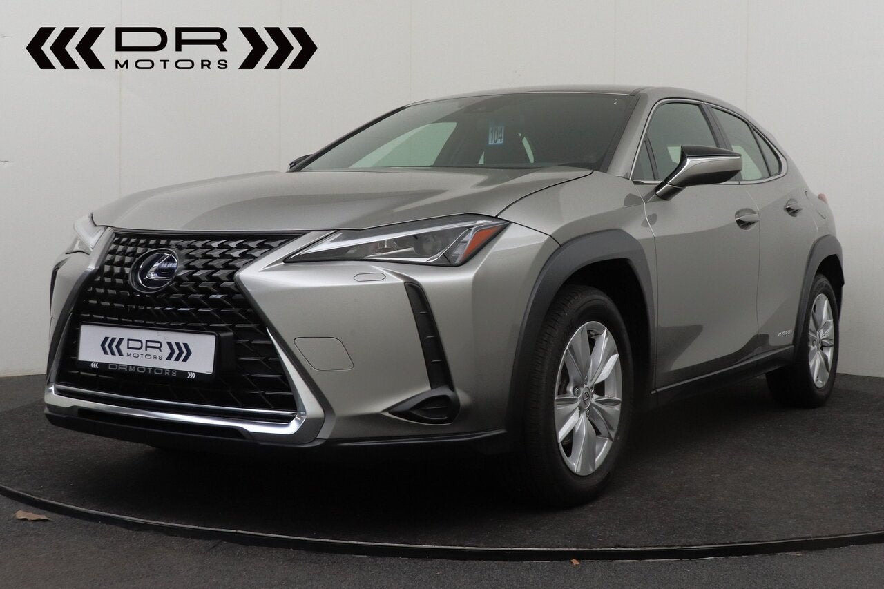 Lexus UX 250h HEV, Auto's, 0 kg, 0 min, 0 kg, Beige