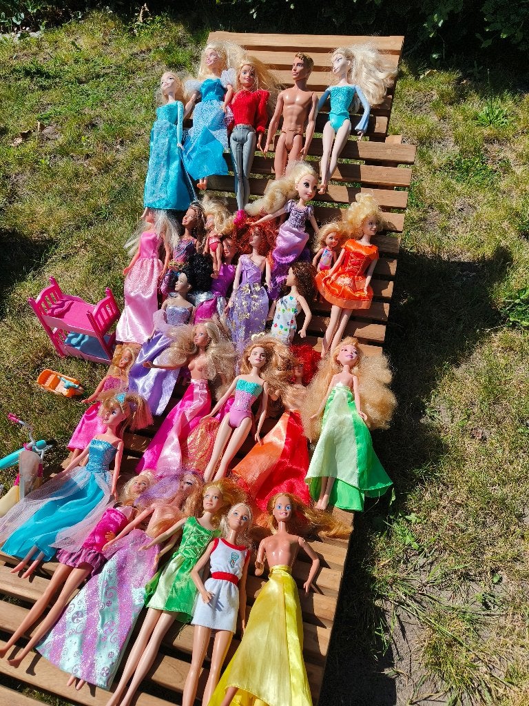 Lot de poupées Barbie (20+) et accessoires, Enlèvement, Utilisé, Barbie