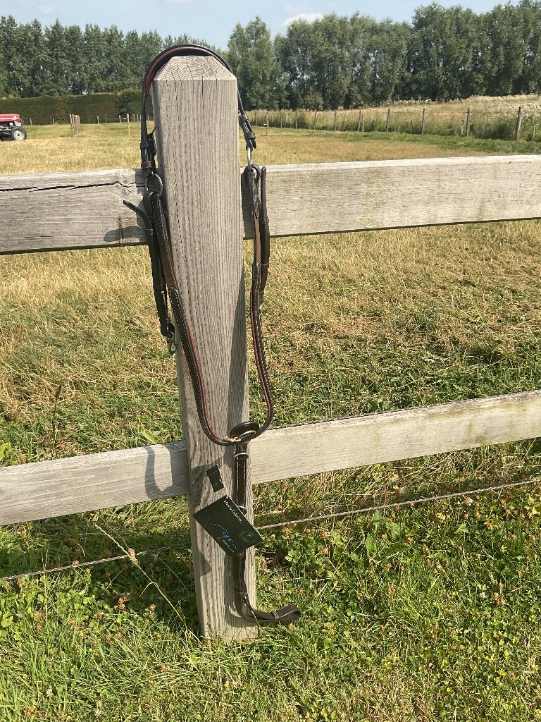 Harnais de poitrine/Martingale NOUVEAU!! Dy'on, Animaux & Accessoires, Collier de chasse, Loisir, Autres marques, Envoi