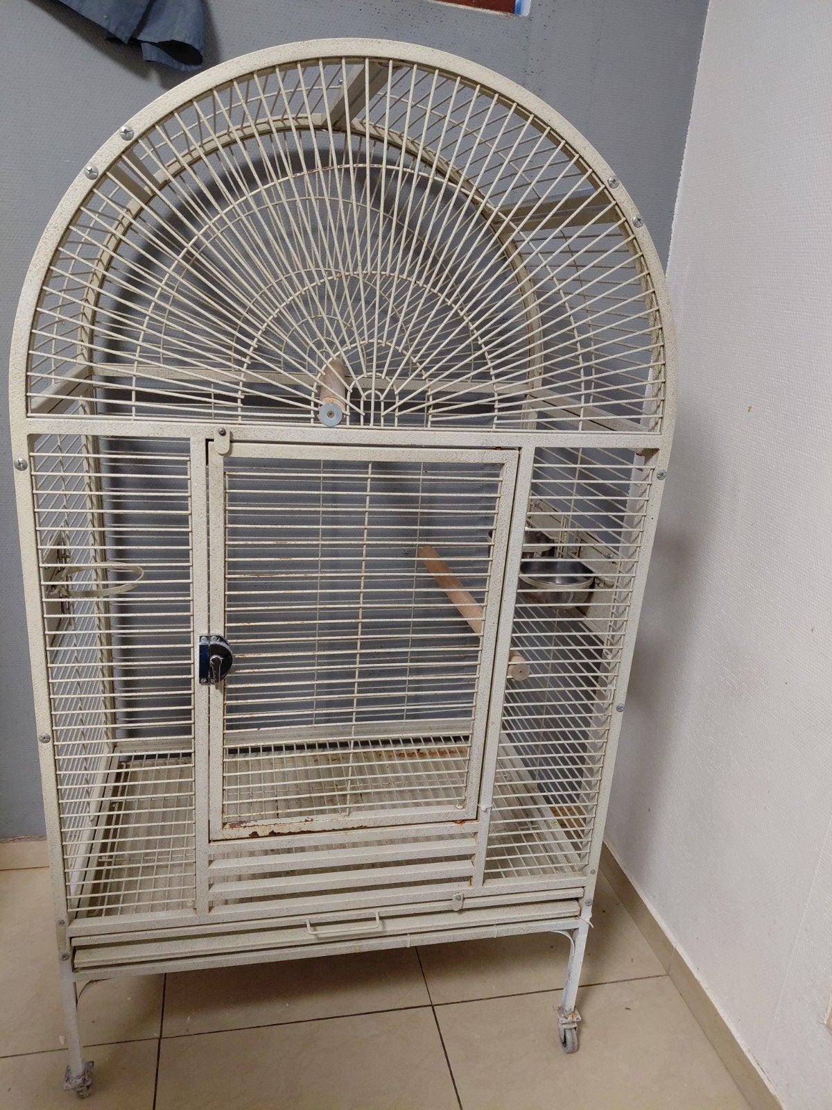 cage perroquet, Enlèvement ou Envoi