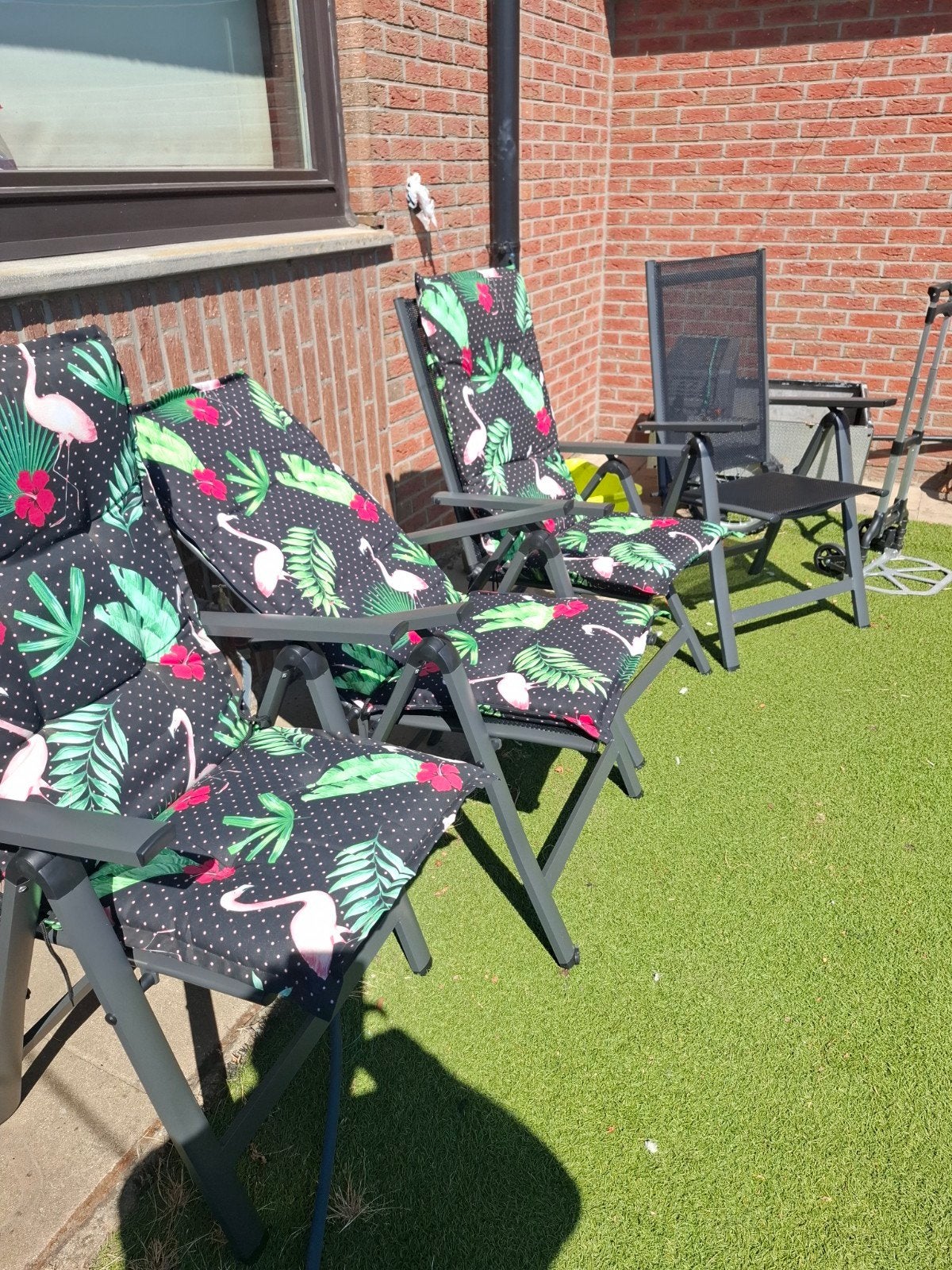 tuinstoelen, Jardin & Terrasse, Plantes | Arbres, Enlèvement