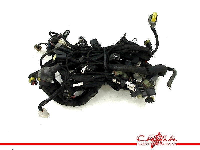 KABELBOOM MV Agusta Brutale 1090 RR 2009 (01-2009/-), Motoren, Dhr. S. di Majo, Gebruikt, Info@cama-motorparts.nl, P.J. Troelstraweg 8 8
3144 CX  MAASSLUIS, NL