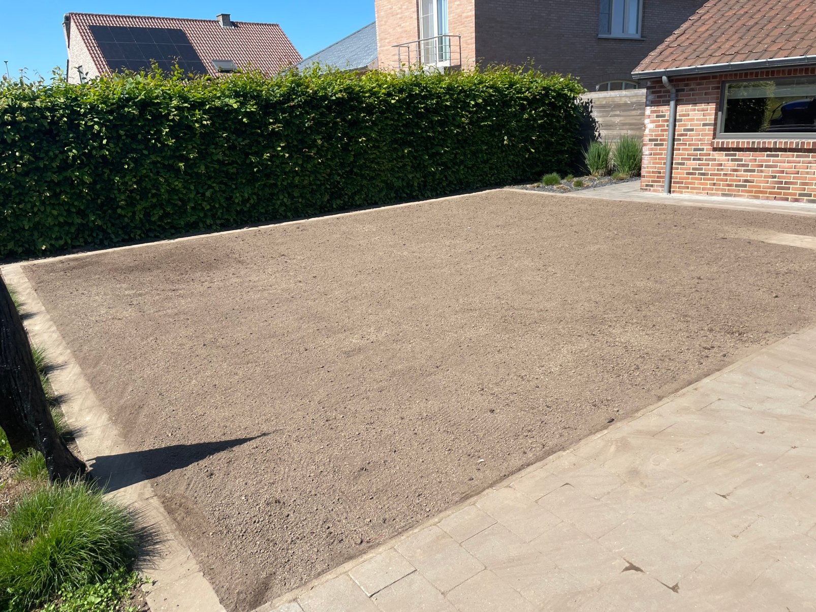Aanleg van gazons, Jardin & Terrasse, Gazon & Gazon artificiel, Enlèvement, Neuf, Herbe