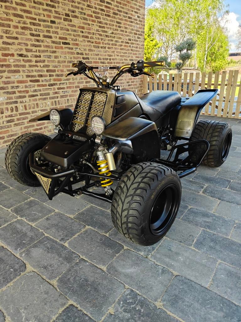 Yamaha banshee 1994, Motoren