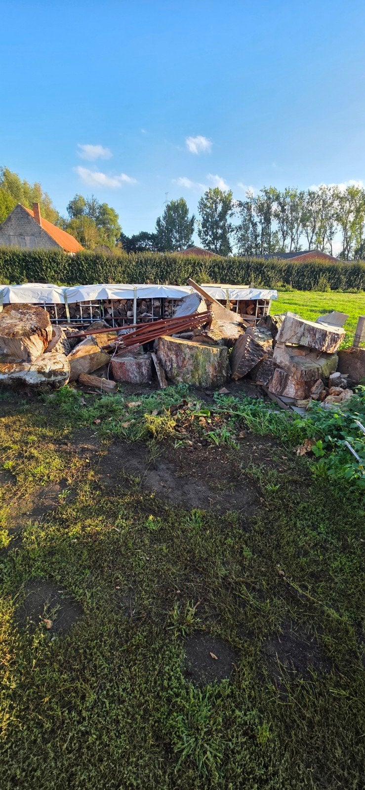 ( gereserveerd) gratis brandhout, Tuin en Terras, Ophalen, Blokken