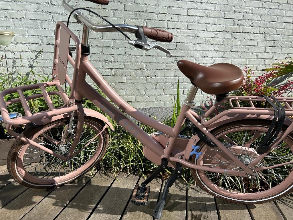 Kinderfiets Valetta Cargo 20inch, Fietsen en Brommers, Ophalen, Terugtraprem, Gebruikt, Handrem