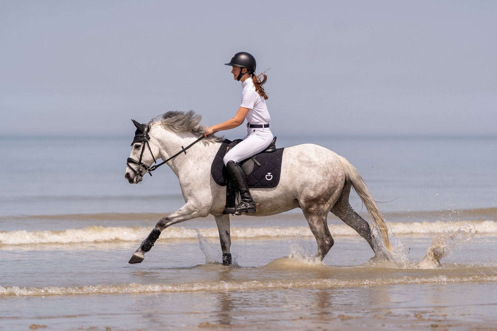 Connemara D Pony, Dieren en Toebehoren, Pony's, Ruin