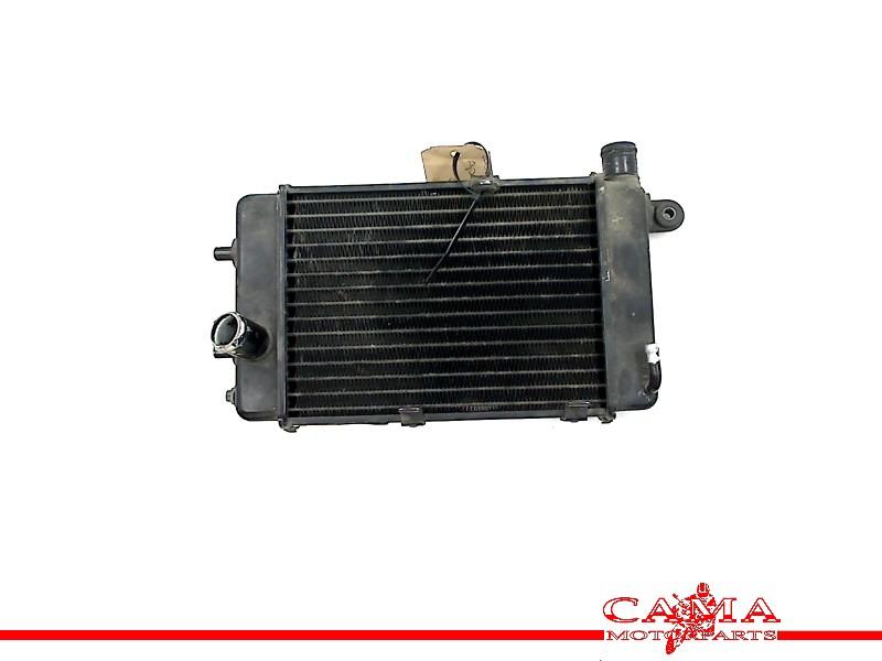 RADIATEUR Aprilia Tuono RSV 1000 (+ Factory), Motoren, Dhr. S. di Majo, Gebruikt, Info@cama-motorparts.nl, P.J. Troelstraweg 8 8
3144 CX  MAASSLUIS, NL