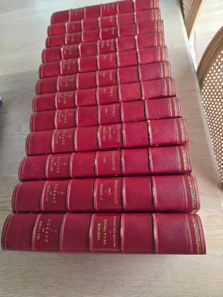 LIVRE, Enlèvement, Utilisé, BUFFON