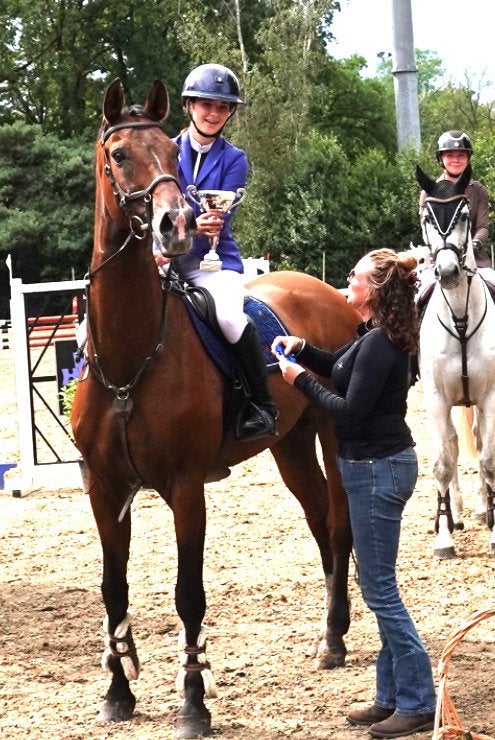 Leermeester te koop, Avec puce électronique, 11 ans ou plus, Hongre, 165 à 170 cm