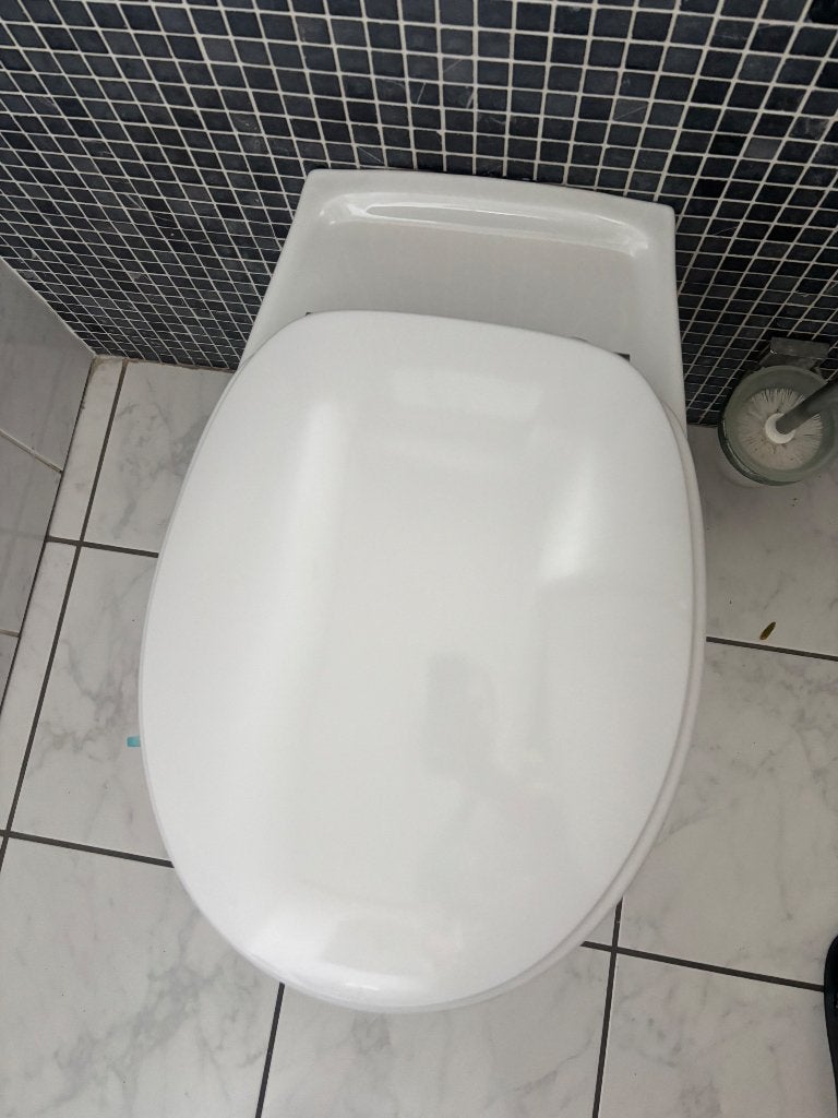 Hang toilet, Ophalen, Gebruikt, Toilet