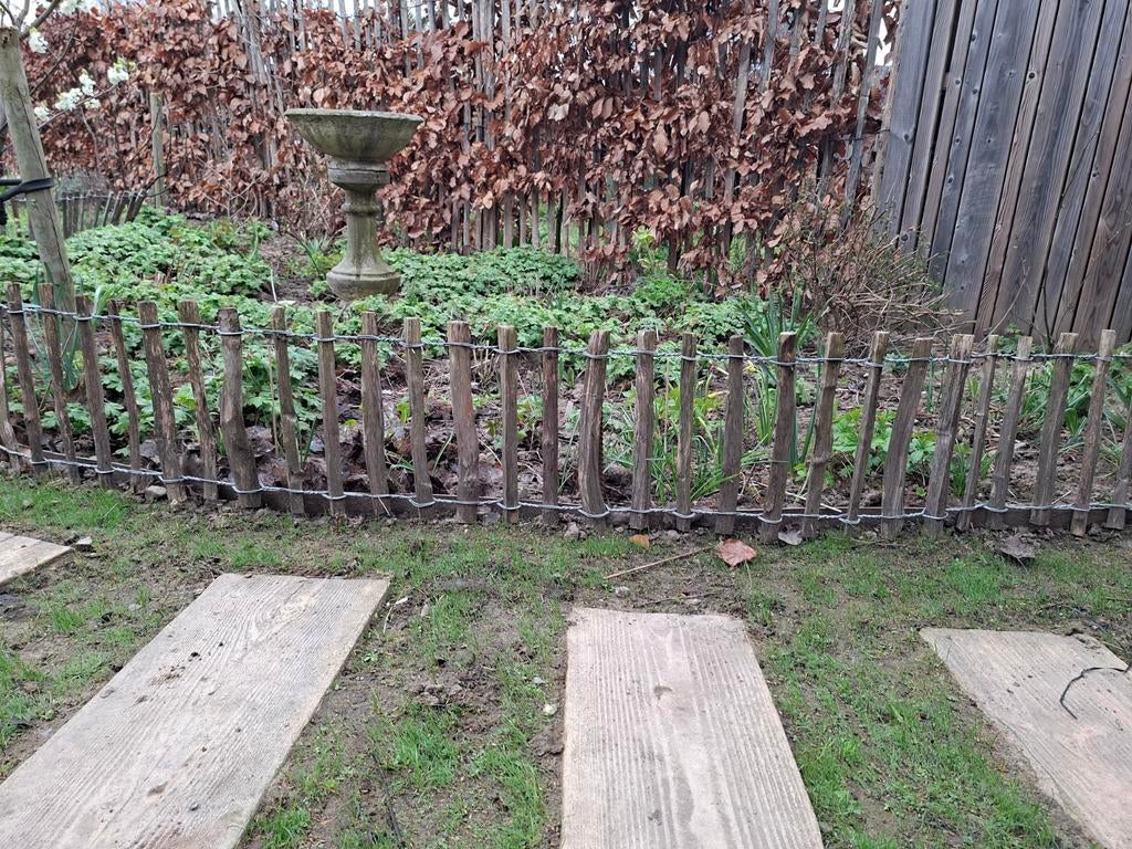 Borderrand schapenvet hazelaar 30 cm, Tuin en Terras, Ophalen