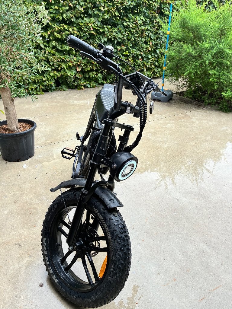 Fat bike, Autres marques, Vitesses, Comme neuf, Enlèvement