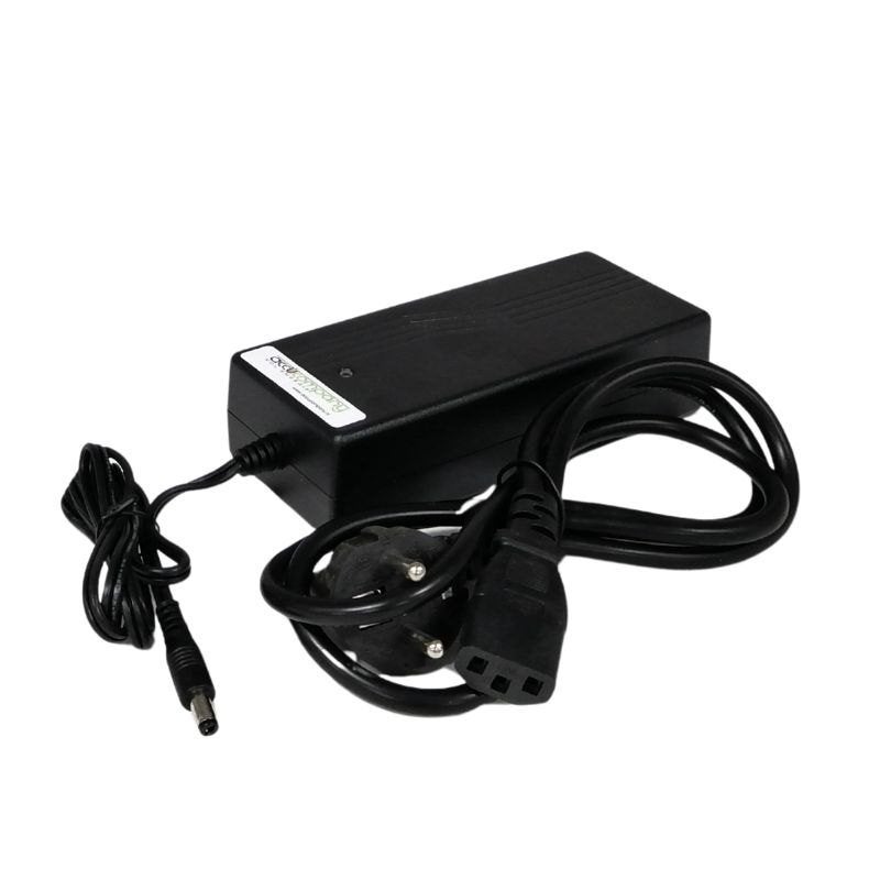 36 volt DC plug LifePo4 lader, Enlèvement ou Envoi, Neuf
