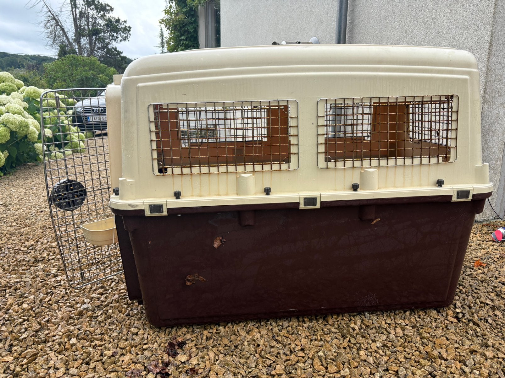 Cage transport chien MAGNUM conforme IATA, Animaux & Accessoires, Enlèvement, Utilisé