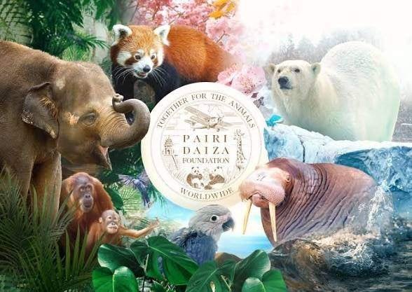 Dagticket Paira Daiza volwassene geldig tot december 26, Tickets en Kaartjes, Recreatie | Pretparken en Attractieparken, Eén persoon