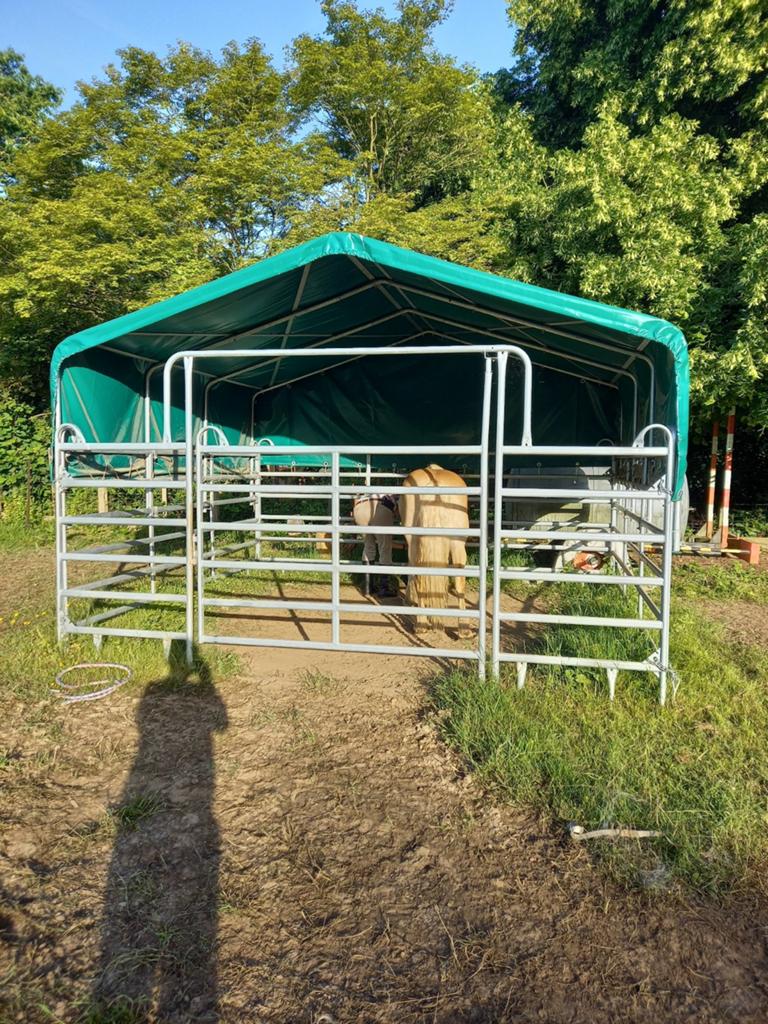 Chevaux de tente Meadow. Exécution de l'équipement CGRAnch., Animaux & Accessoires