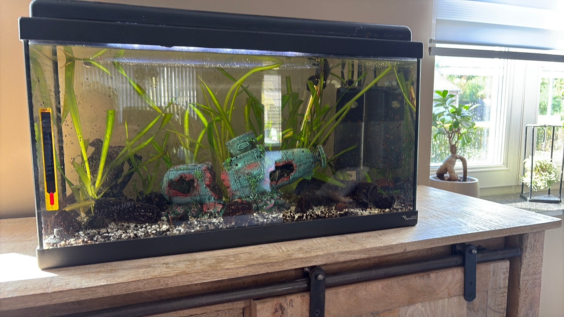 Gratis aquarium met toebehoren, Animaux & Accessoires, Reptiles & Amphibiens | Accessoires, Enlèvement, Comme neuf