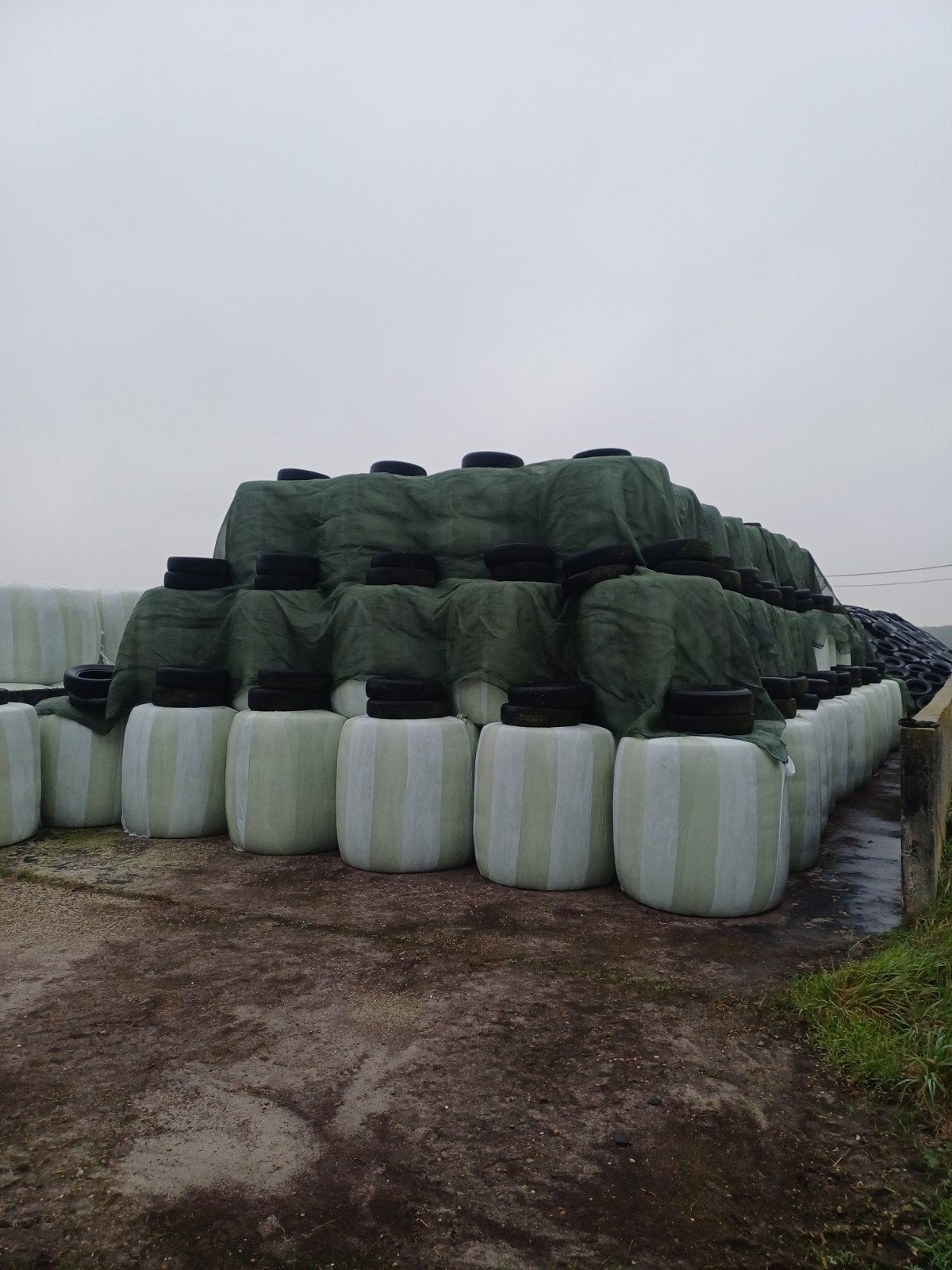 maïsbalen te koop, Dieren en Toebehoren, Ophalen
