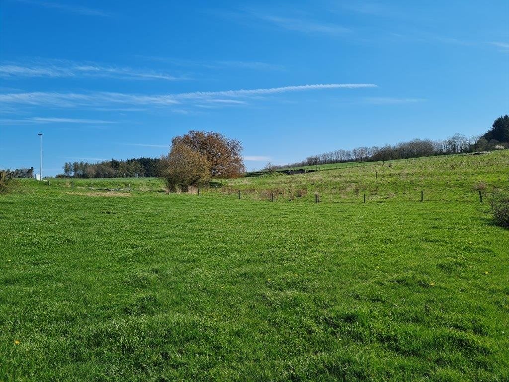 Mierchamps - La Roche : terrain à batir, 19a 43ca., Immo, Terrains & Terrains à bâtir, Mierchamps - La Roche, 1500 m² ou plus